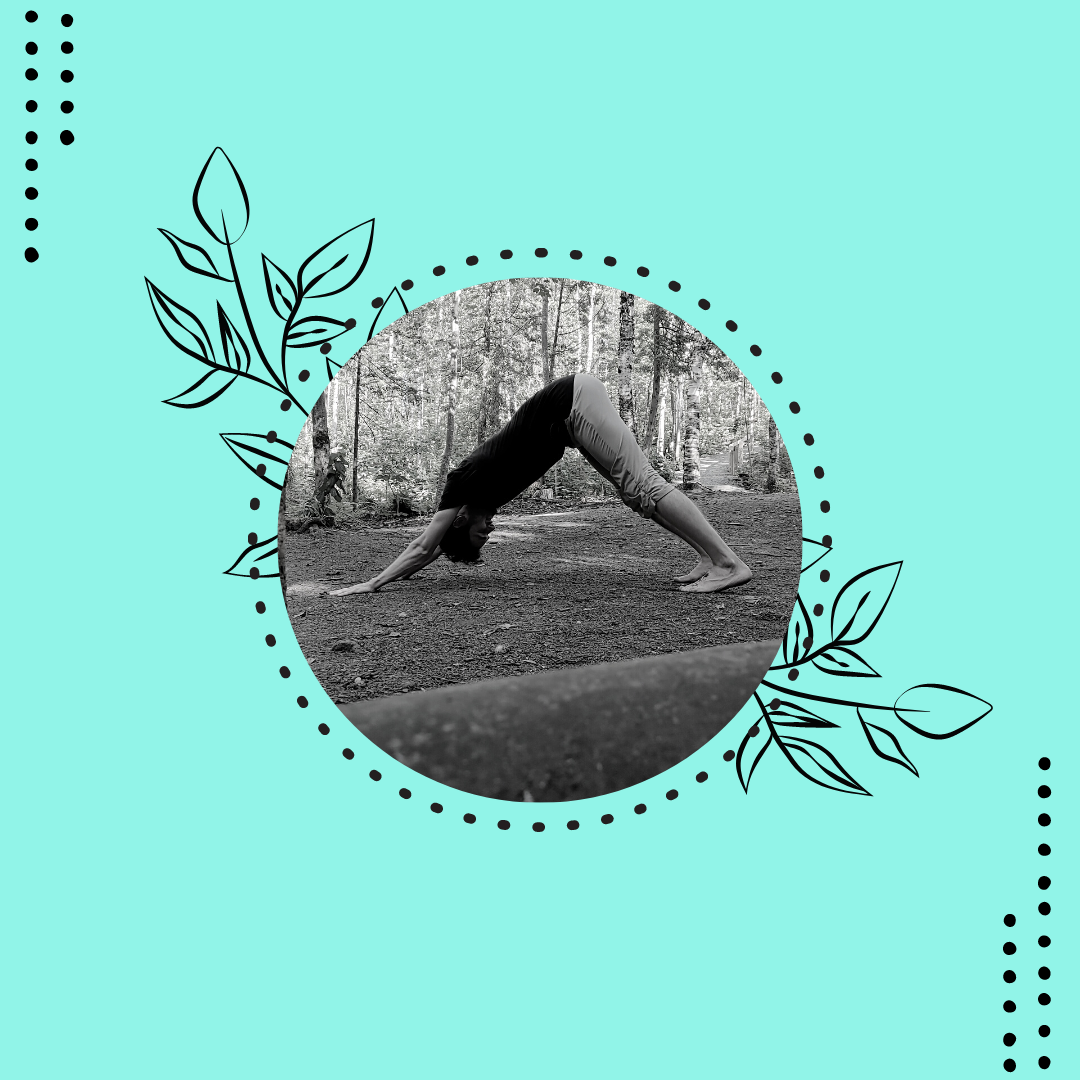 Cours dynamique l Hiver 2024