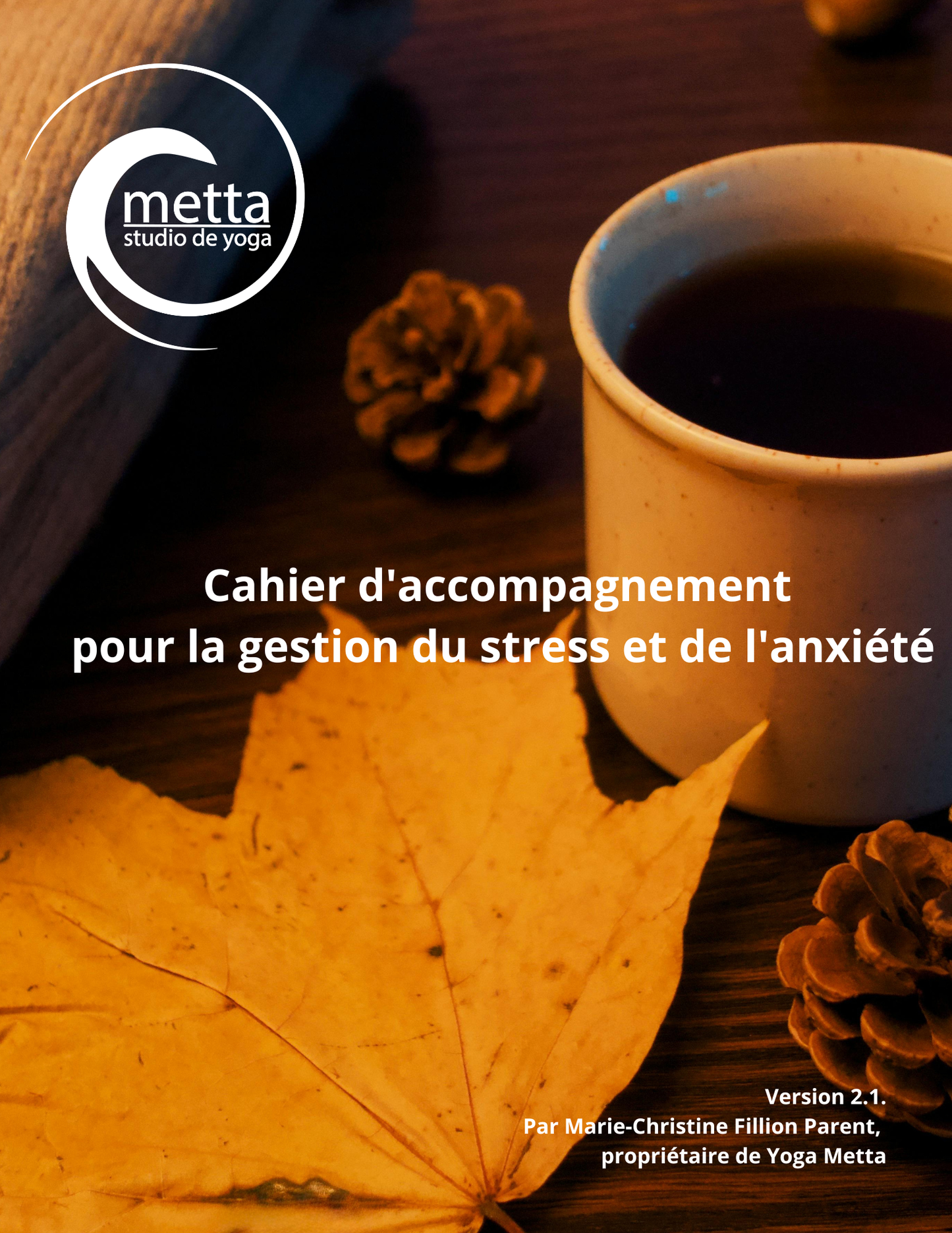 Précommande l Cahier l Gestion du stress et de l'anxiété 2e édition