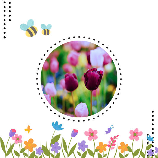 Forfait cours réguliers l Mai 2026